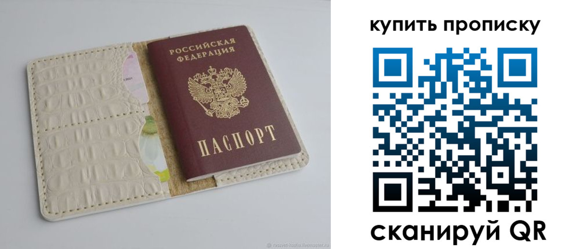 временная регистрация гарантия в Тереке